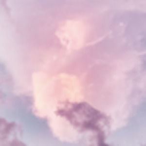 Meet your Posher, Helen